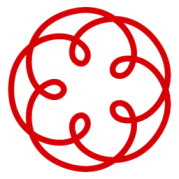 Dott.ssa Valentina Vannini